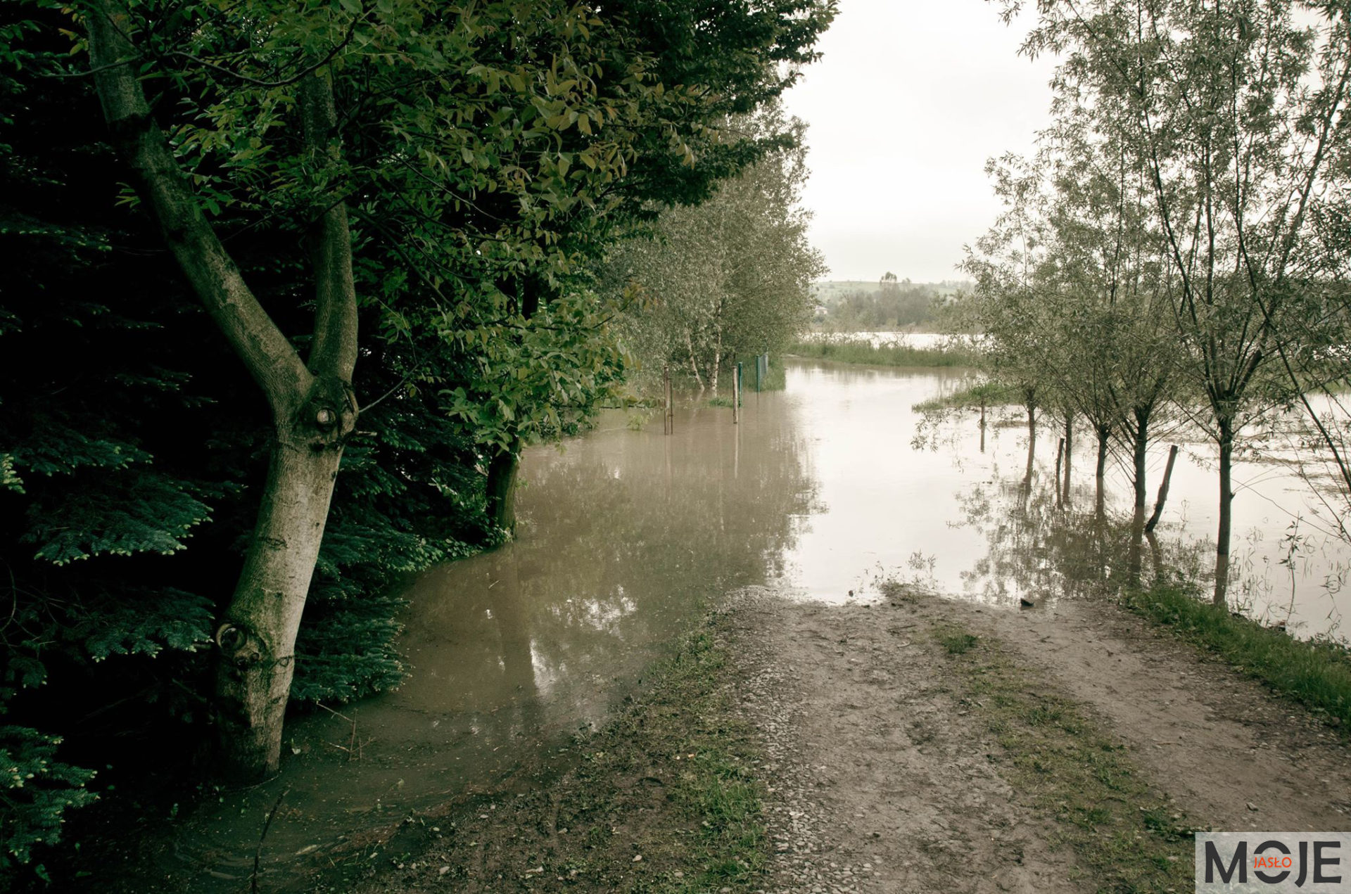 Zagrożenie powodziowe – Jasło 05.2019 r.