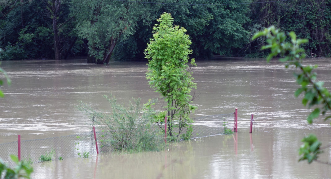 Zagrożenie powodziowe - Jasło 05.2019 r.
