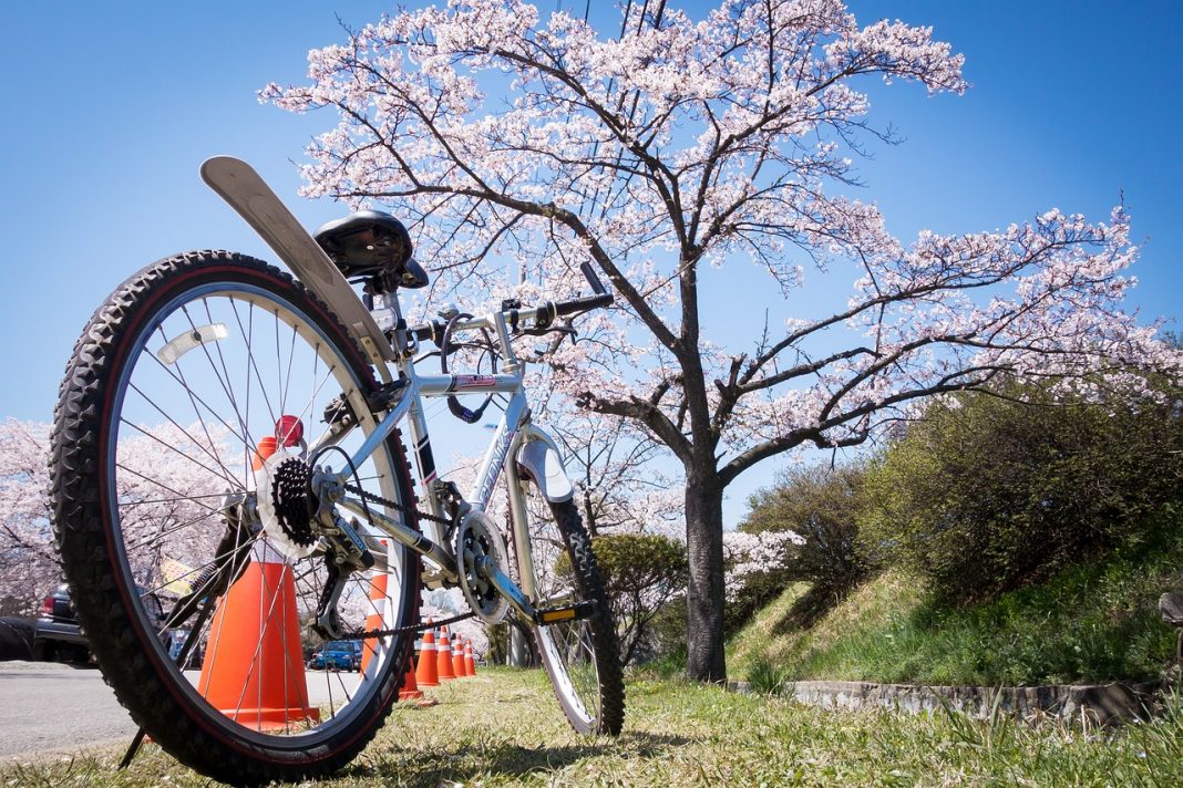 Jak przygotować rower na wiosnę?