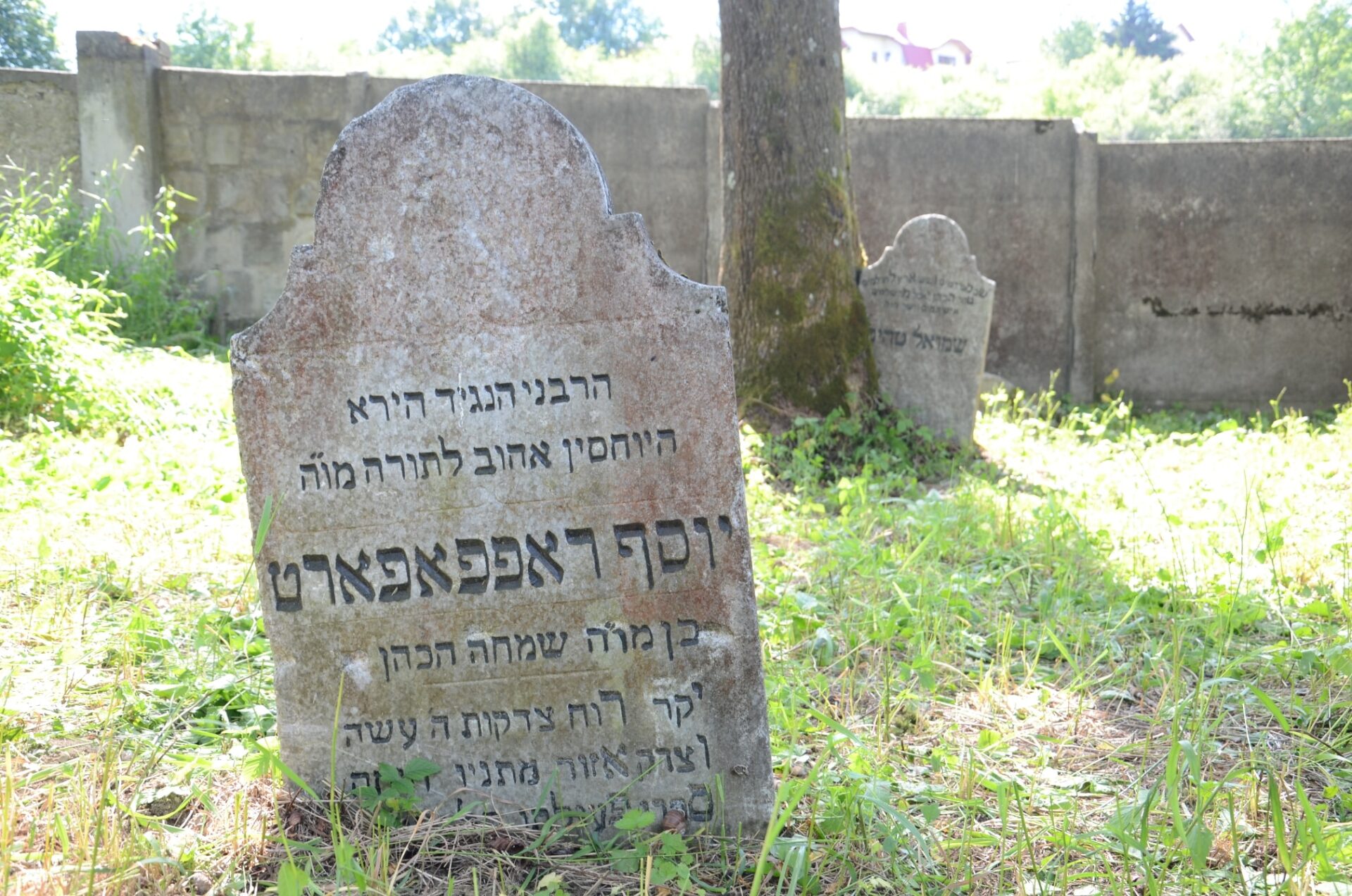 Nagrobek na cmentarzu żydowskim w Jaśle