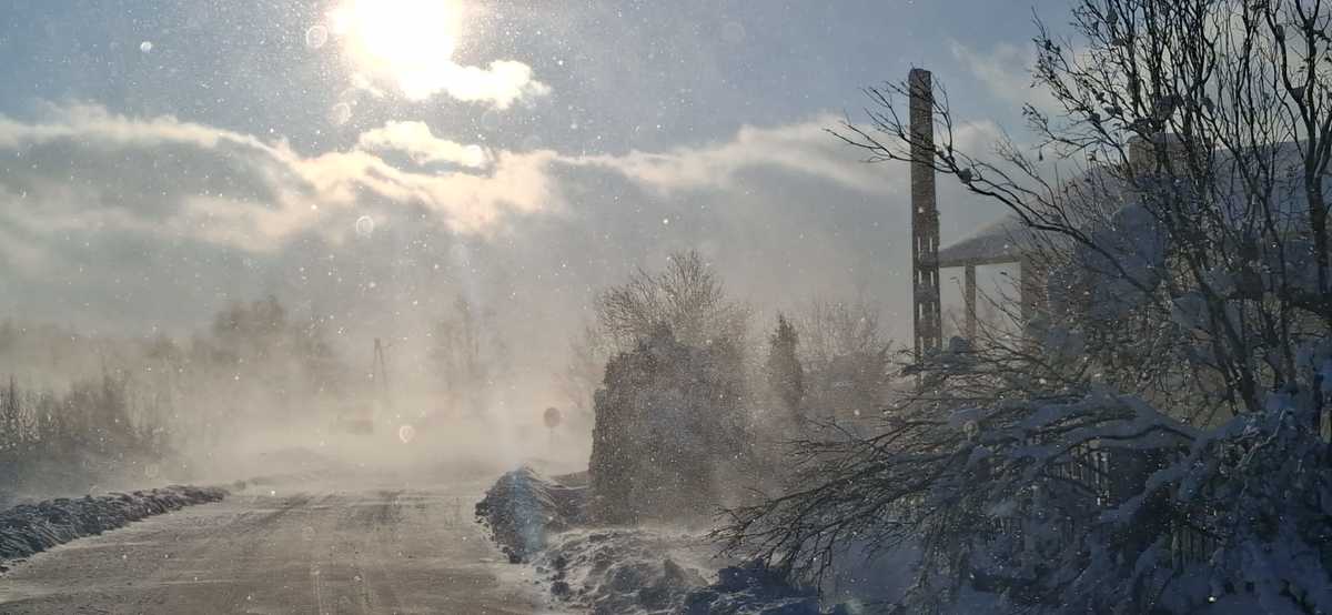 Policja ewakuowała osoby uwiezione przez zamieć śnieżną w samochodach