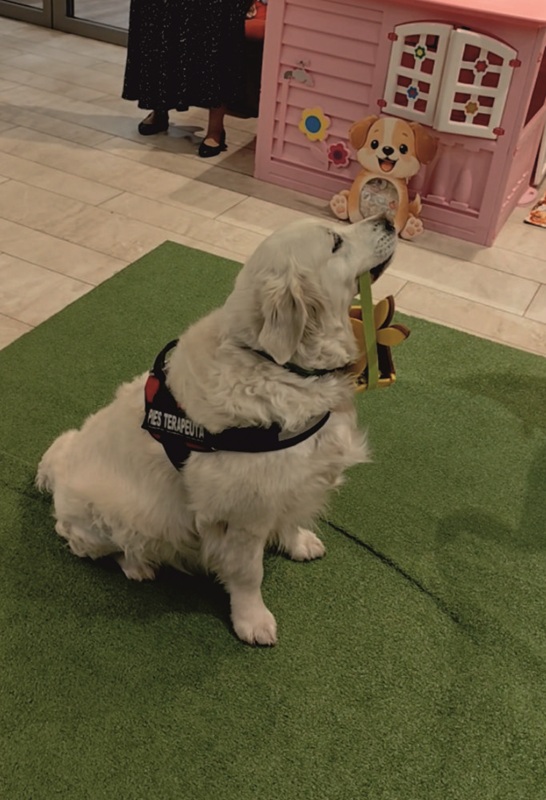 Nietypowe urodziny w Jaśle. Alta świętowała z dziećmi w bibliotece